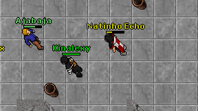 Natinho Echo on screen