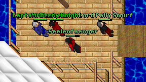 Seelenfaenger on screen