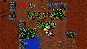 Xedaris on screen