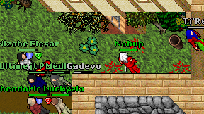Nabup on screen