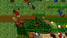 Kwaczek on screen