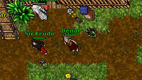 Denar on screen