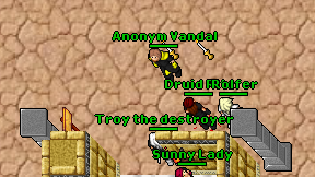 Anonym Vandal on screen