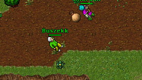 Buszekk on screen