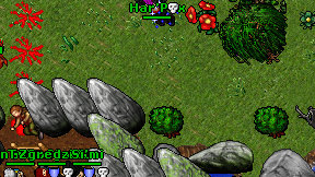 Har'Pax on screen