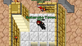 Sakuraba Tavoc on screen