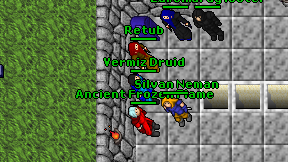 Vermiz Druid on screen