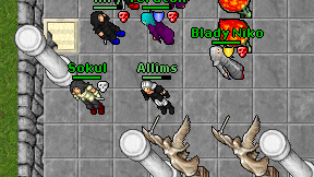 Allims on screen