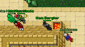 Ham Burgler on screen