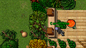 Carth Sho on screen
