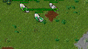 Renevolutionts on screen