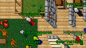 Grochalek on screen
