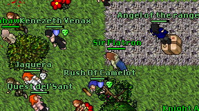 Sir Flatron on screen