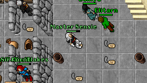Master Sensie on screen