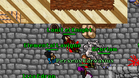 Lonit el Knight on screen
