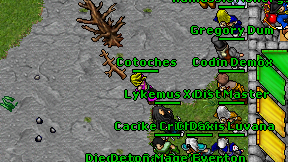 Cotoches on screen