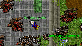 Spider webb on screen