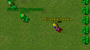 Milutka'Laska on screen