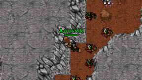 Agussik on screen