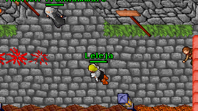 Leleja on screen