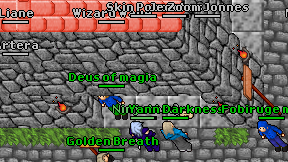Skin Pozaro on screen