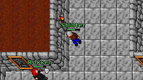 Shinter on screen