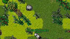 Malk'Dynamic on screen