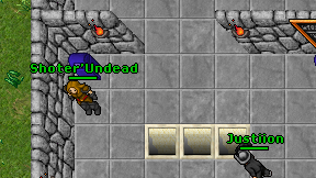 Shoter'Undead on screen