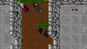 Blodja on screen