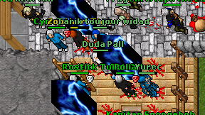 Duda Pall on screen