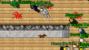 Vand Alin on screen