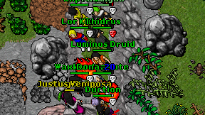Luminos Druid on screen