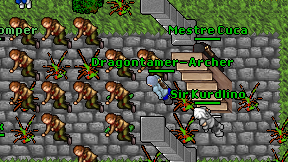 Dragontamer-Archer on screen