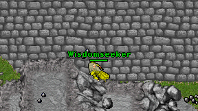 Wisdomseeker on screen