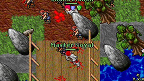 Master Noyal on screen