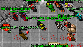 Bart Elite Knight on screen