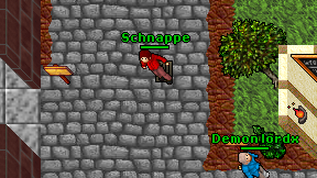 Schnappe on screen