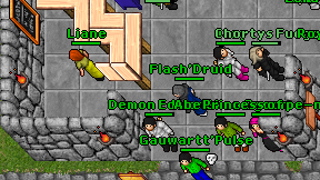 Flash'Druid on screen