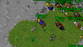 Igleyy on screen