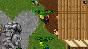 Pejay Vook on screen