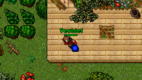 Veshiel on screen