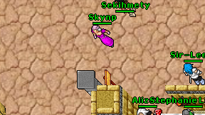 Skynp on screen