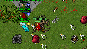 Fiixolu on screen