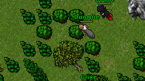 Doomiie on screen