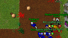 Malerr on screen