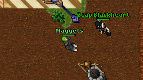 Maggets on screen