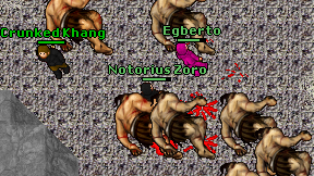 Notorius Zoro on screen
