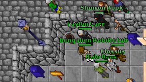 Bengalien Robin on screen