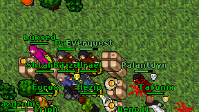 Everquest on screen