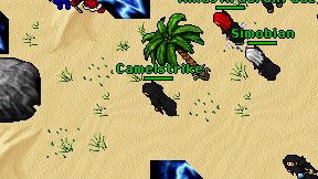 Camelstrike on screen